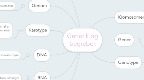 Mind Map: Genetik og begreber