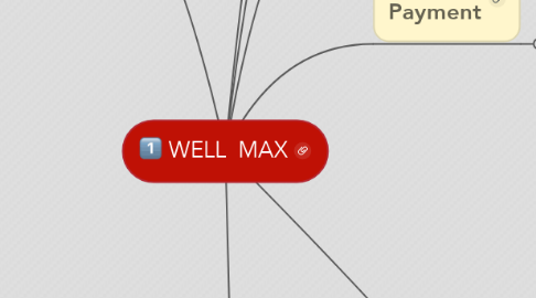 Mind Map: WELL  MAX