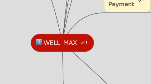 Mind Map: WELL  MAX