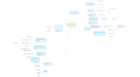 Mind Map: Cellular Energy