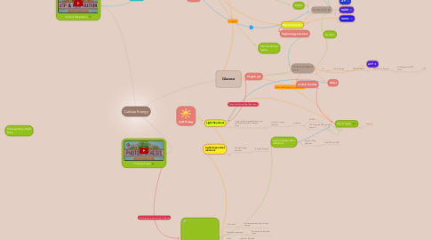 Mind Map: Cellular Energy