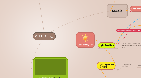 Mind Map: Cellular Energy