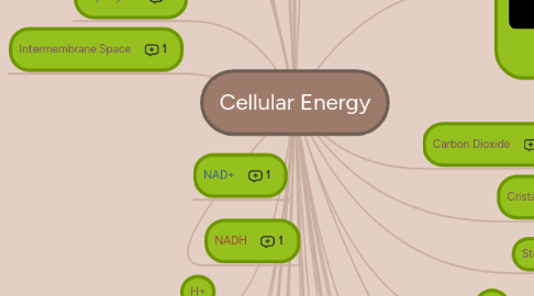 Mind Map: Cellular Energy