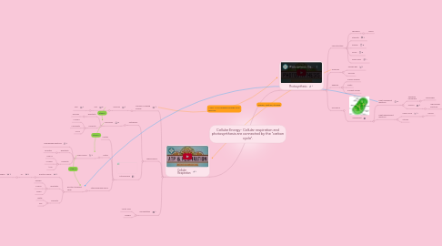 Mind Map: Cellular Energy- Cellular respiration and photosynthesis are connected by the "carbon cycle".