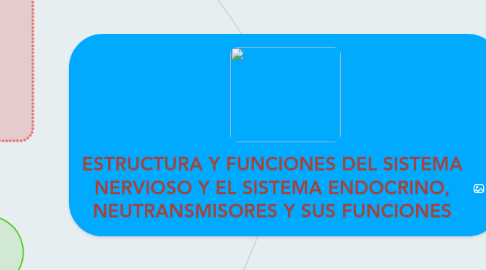 Mind Map: ESTRUCTURA Y FUNCIONES DEL SISTEMA NERVIOSO Y EL SISTEMA ENDOCRINO, NEUTRANSMISORES Y SUS FUNCIONES