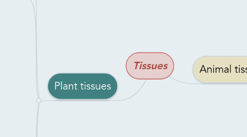 Mind Map: Tissues