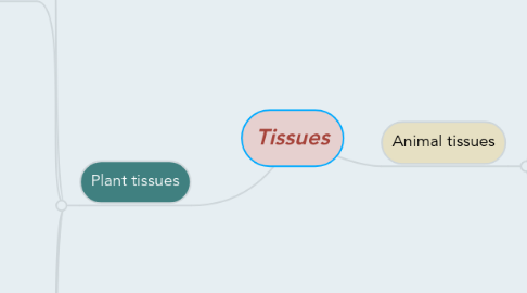 Mind Map: Tissues