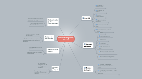 Mind Map: Project Management Process