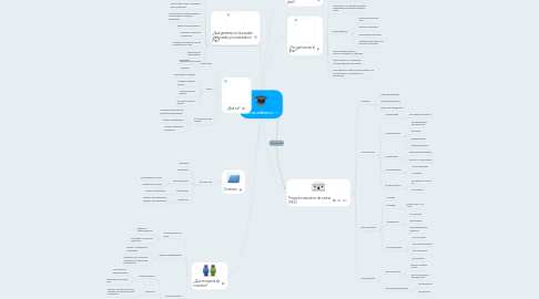 Mind Map: Plan académico