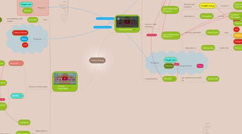 Mind Map: Cellular Energy