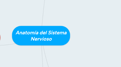 Mind Map: Anatomía del Sistema Nervioso