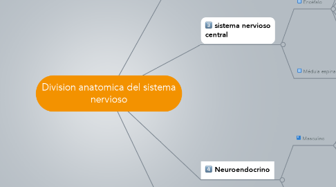 Mind Map: Division anatomica del sistema nervioso