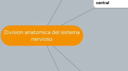 Mind Map: Division anatomica del sistema nervioso