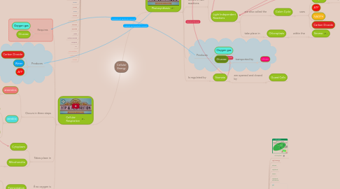 Mind Map: Cellular Energy