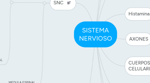 Mind Map: SISTEMA NERVIOSO