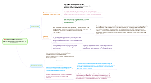 Mind Map: ESTRUCTURAS Y FUNCIONES DELSISTEMA NERVIOSO Y SISTEMA ENDOCRINO