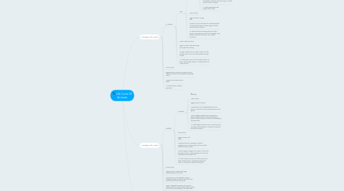 Mind Map: Life Cycle Of Animals