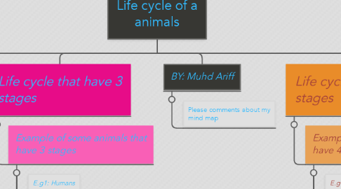 Mind Map: Life cycle of a animals