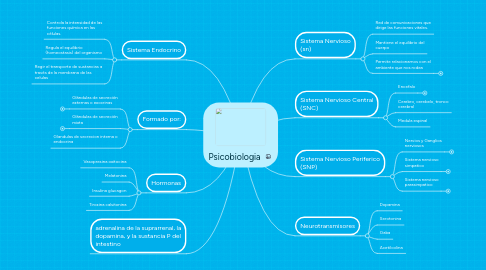 Mind Map: Psicobiologia