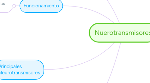 Mind Map: Nuerotransmisores