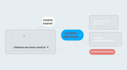 Mind Map: SISTEMA NERVIOSO