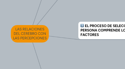 Mind Map: LAS RELACIONES DEL CEREBRO CON LAS PERCEPCIONES