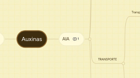 Mind Map: Auxinas