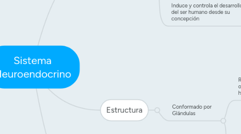 Mind Map: Sistema Neuroendocrino