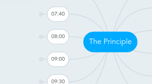 Mind Map: The Principle