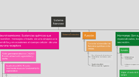 Mind Map: Sistema Nervioso