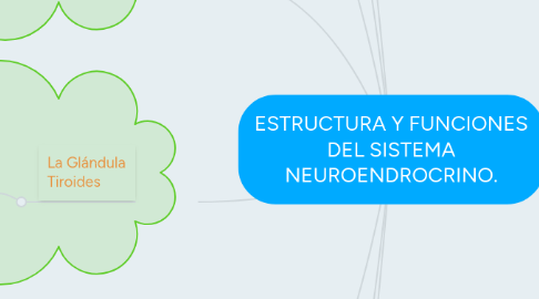 Mind Map: ESTRUCTURA Y FUNCIONES DEL SISTEMA NEUROENDROCRINO.