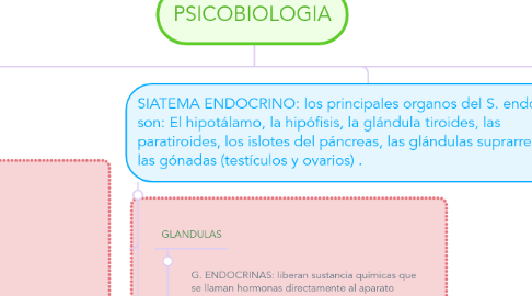 Mind Map: PSICOBIOLOGIA