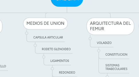 Mind Map: CADERA
