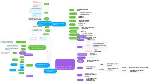 Mind Map: SISTEMA NERVIOSO CENTRAL