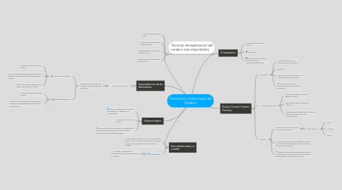 Mind Map: Funciones y Estructuras del Cerebro