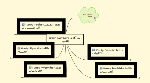 Mind Map: order: Carnivora رتبة آكلات اللحوم