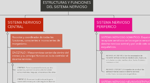 Mind Map: ESTRUCTURAS Y FUNCIONES DEL SISTEMA NERVIOSO