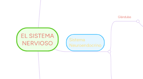 Mind Map: EL SISTEMA NERVIOSO