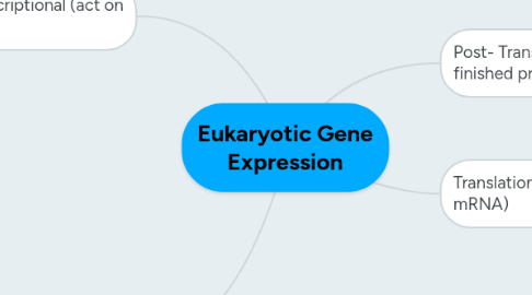 Mind Map: Eukaryotic Gene Expression
