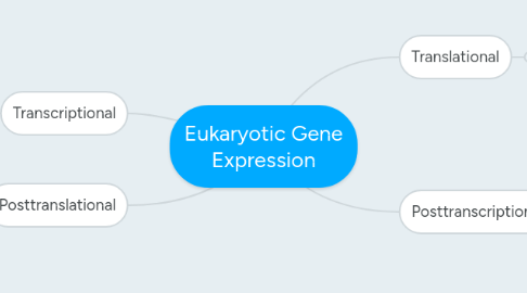Mind Map: Eukaryotic Gene Expression