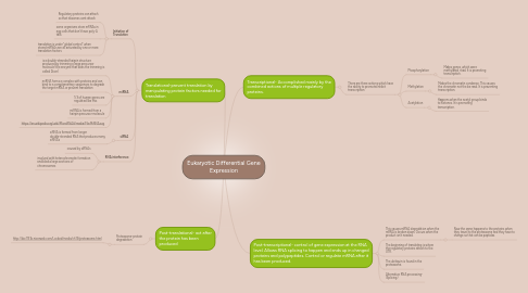 Mind Map: Eukaryotic Differential Gene Expression