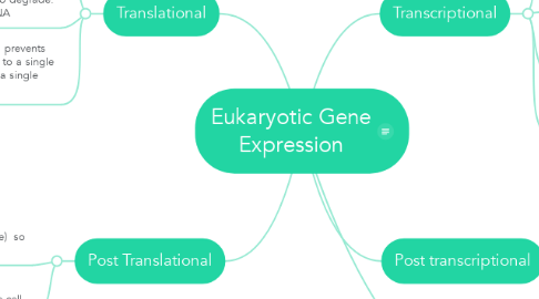 Mind Map: Eukaryotic Gene Expression