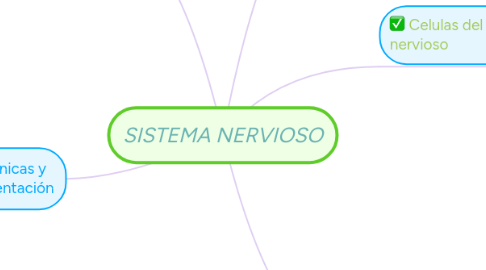 Mind Map: SISTEMA NERVIOSO