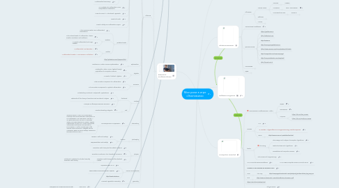 Mind Map: Мои роли в игре «Экономика»