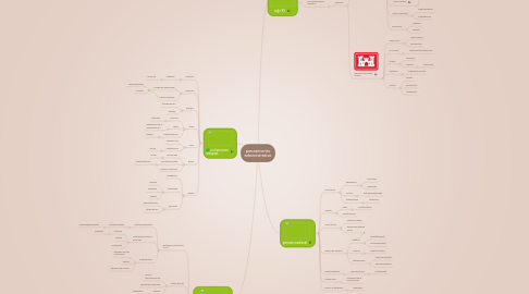 Mind Map: pensamiento administrativo