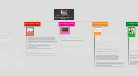 Mind Map: ETAPAS Y FORMAS DE LA EVOLUCION DE ORGANIZACION FAMILIAR