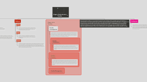 Mind Map: Origen y Evolución de la Familia.