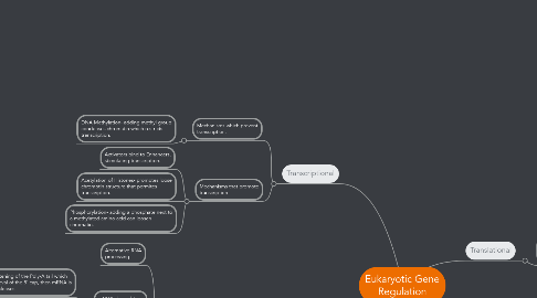 Mind Map: Eukaryotic Gene Regulation