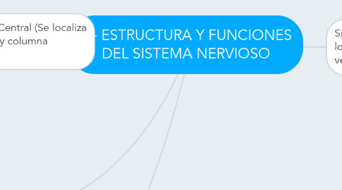 Mind Map: 1.- ESTRUCTURA Y FUNCIONES DEL SISTEMA NERVIOSO