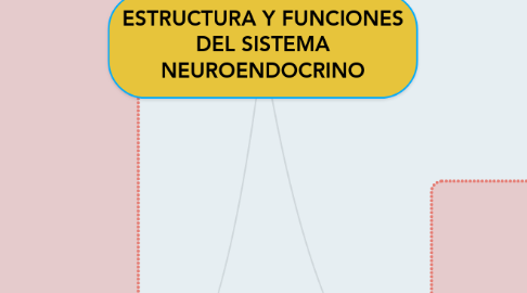 Mind Map: ESTRUCTURA Y FUNCIONES DEL SISTEMA NEUROENDOCRINO